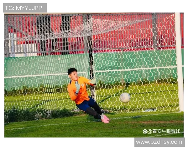 足球场内是否可以与球星合影留念 如何正确尊重球员隐私与行为规范